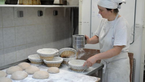 formation boulangerie en agriculture biologique et fermentation au levain
