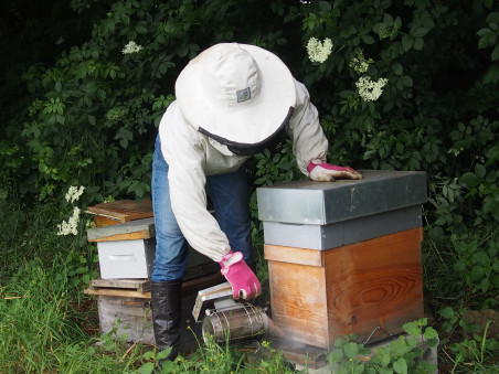 Photo d'apiculteur en train de manipuler une ruche