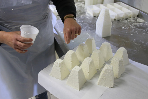 formation fabrication fromage de chèvre