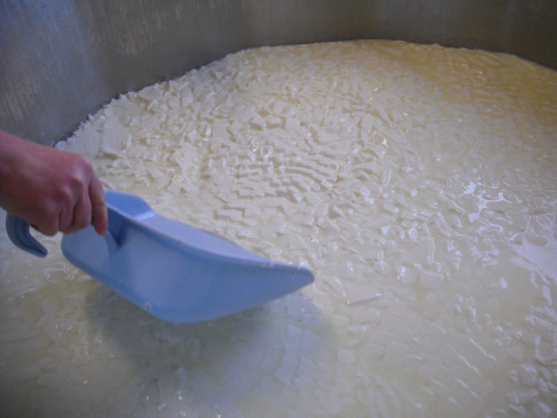 formation courte fromager