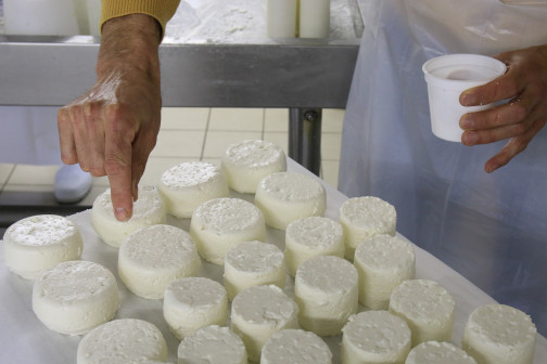formation fromager