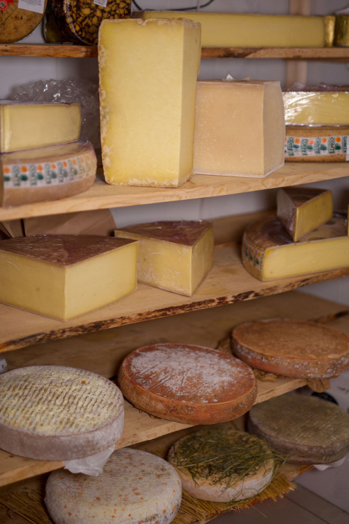 Différents types de fromages artisanaux