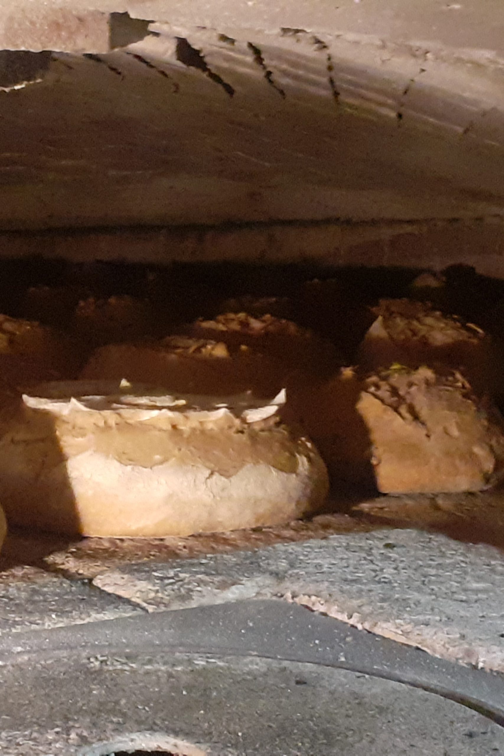 Savoir Faire et Découverte - Boulanger d’un jour : Secrets du pain Bio au levain cuit au feu de bois