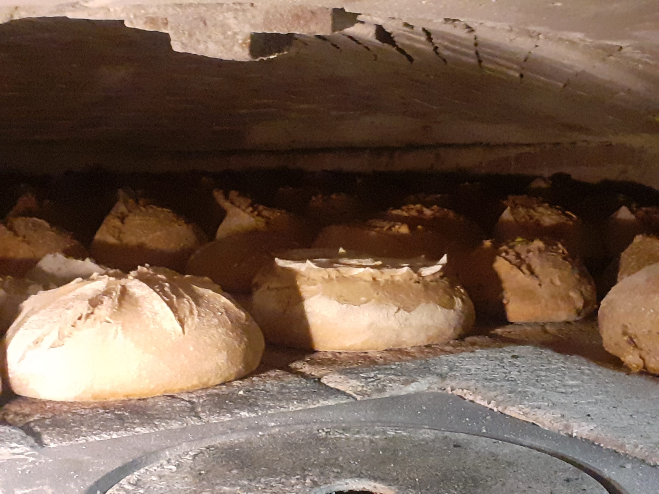 Boulanger d'un jour : Secrets du pain Bio au levain cuit au feu de bois