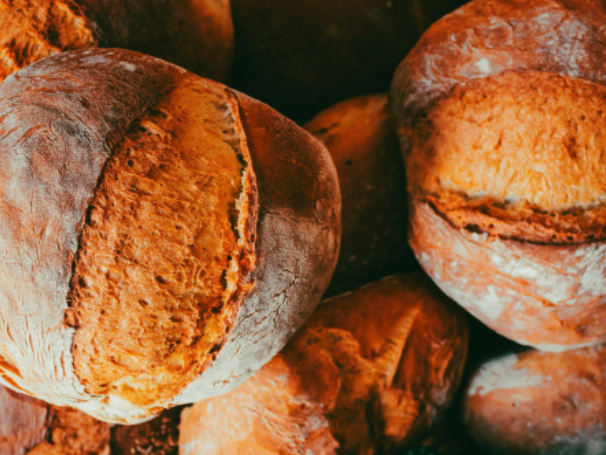 Pain et Viennoiseries Bio : Initiation à la Boulangerie traditionnelle au feu de bois