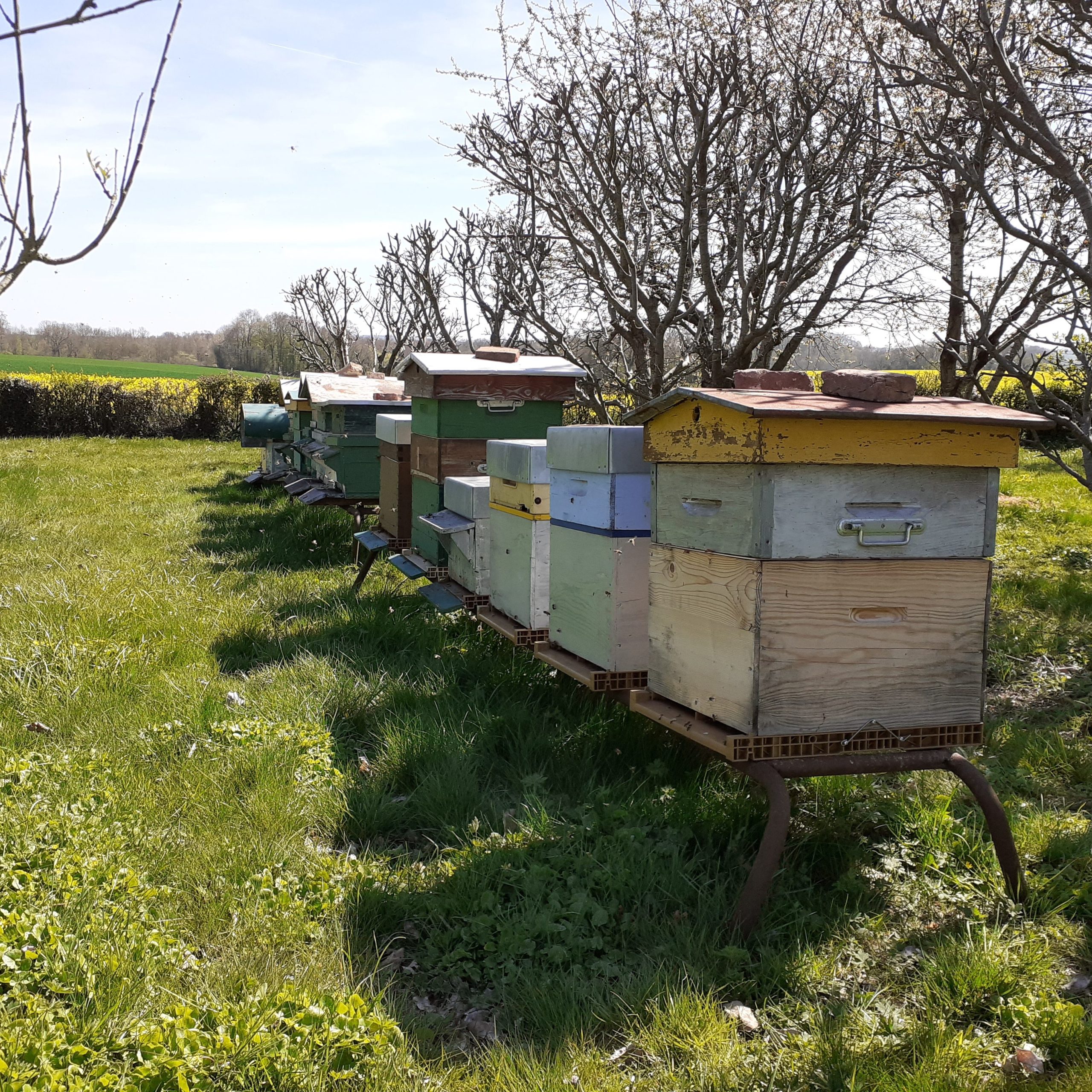 Reconversion : De conseillère agricole à agricultrice passionnée