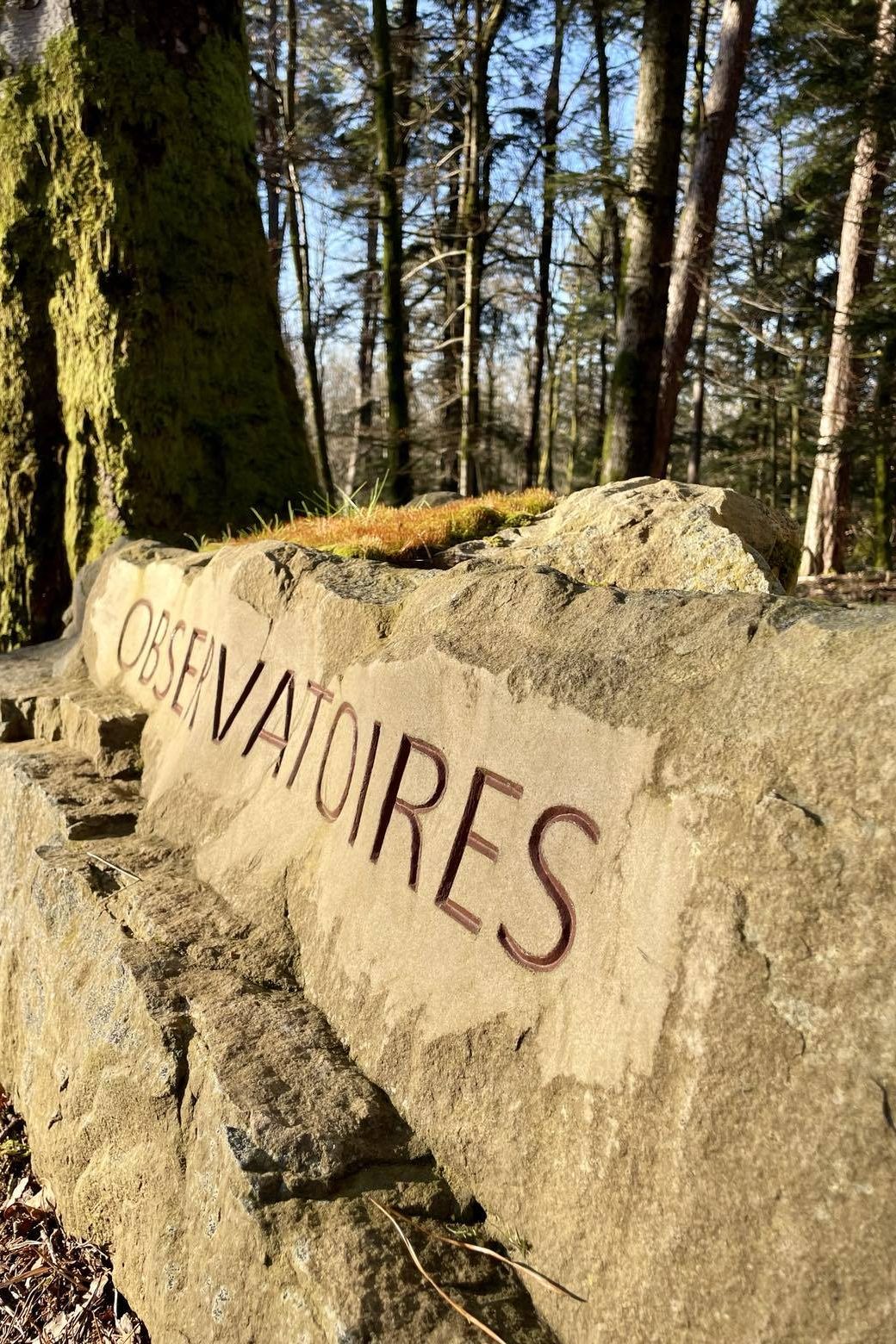 Savoir Faire et Découverte - Sculpter la pierre : De l’apprentissage du geste à la gravure en relief