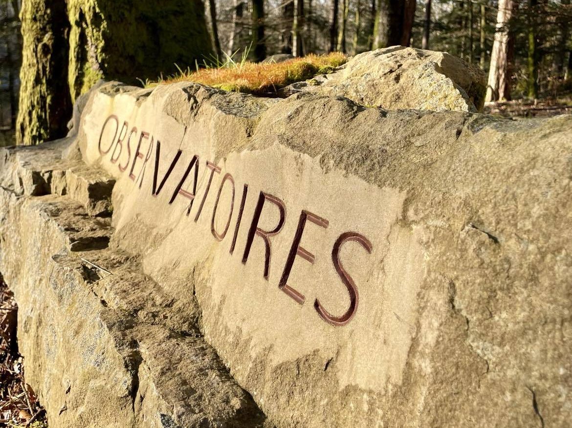 Sculpter la pierre : De l’apprentissage du geste à la gravure en relief