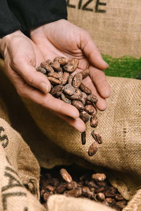 Savoir Faire et Découverte - De la fève à la tablette : Immersion dans le Bean to Bar