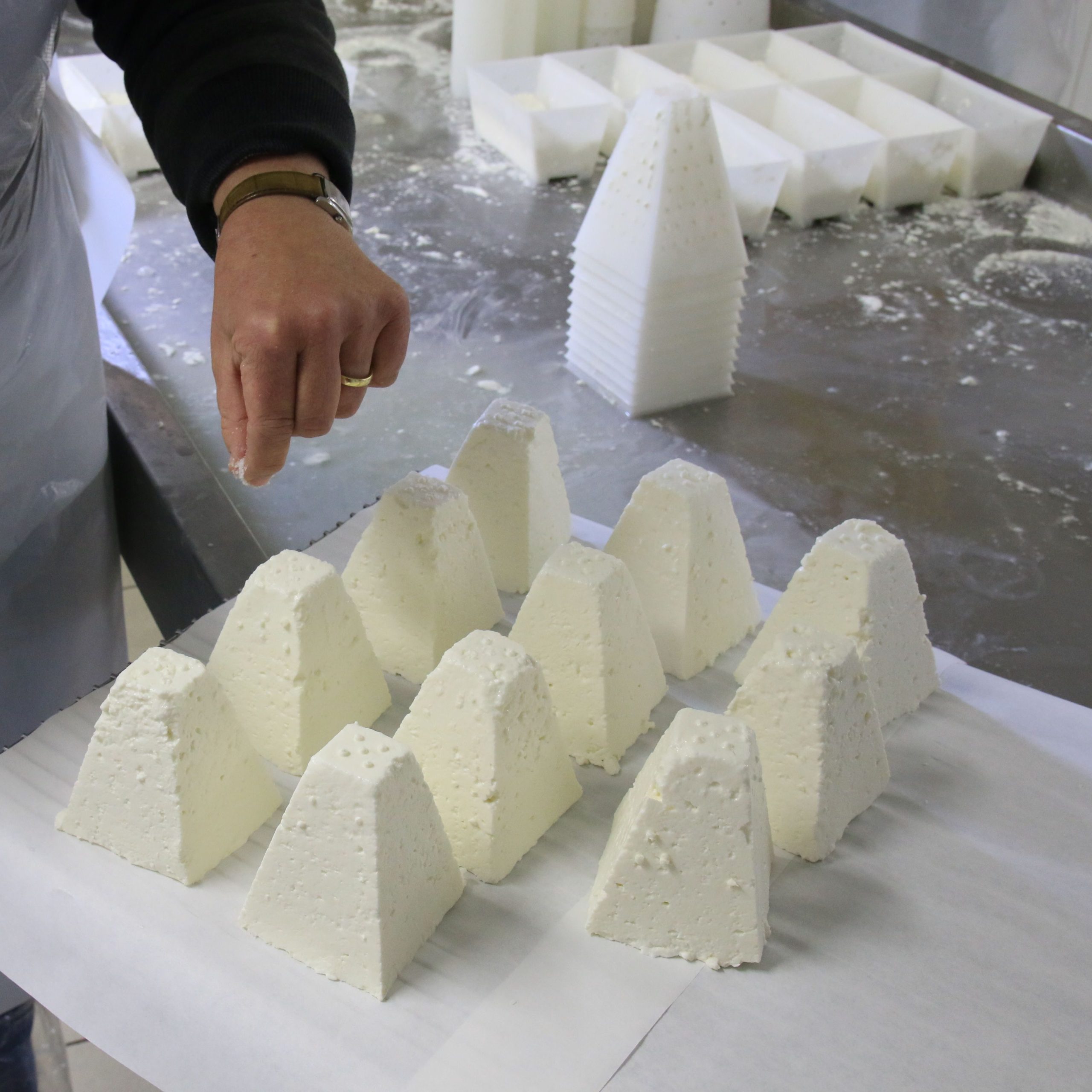 Devenir chevrier - fromager & Faire son fromage de chèvre