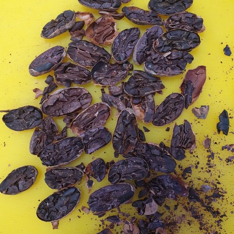 Parcours professionnel : devenir chocolatière « Bean To Bar » avec Mélanie Paulau.