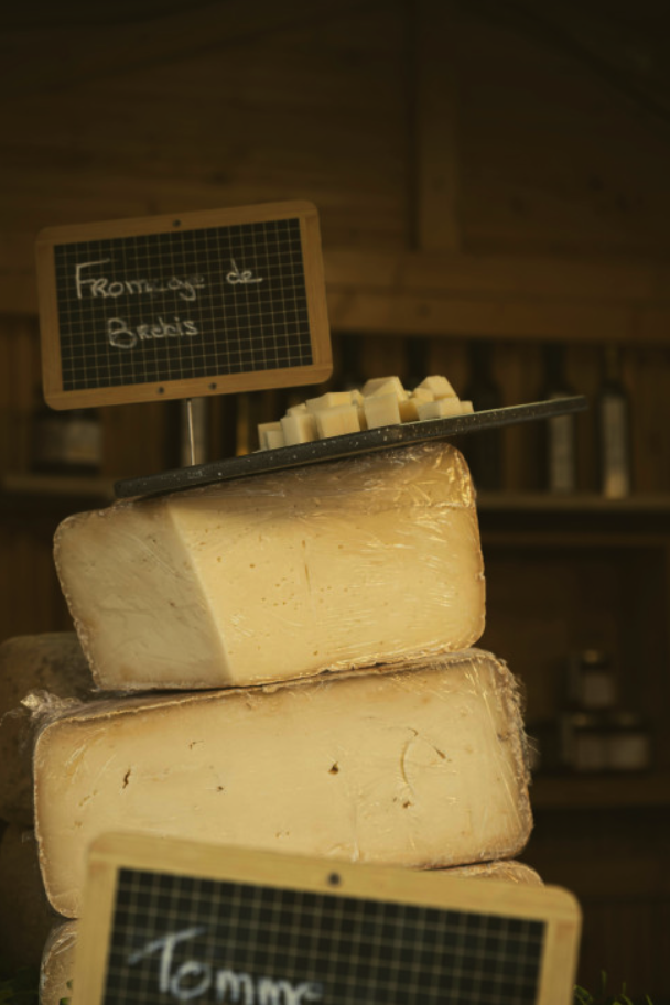 Savoir Faire et Découverte - Créer son atelier artisanal bio : Devenez producteur de fromages de brebis