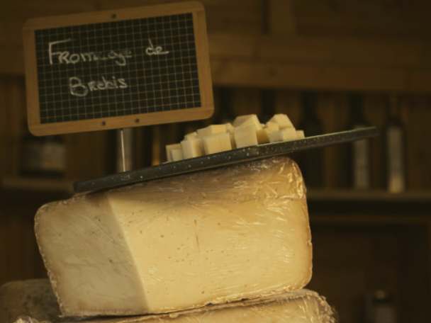 Créer son atelier artisanal bio : Devenez producteur de fromages de brebis