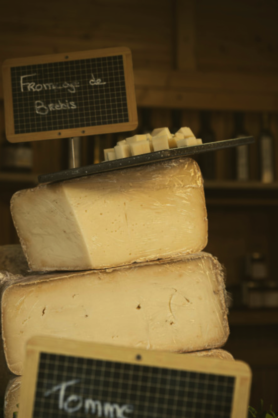 Savoir Faire et Découverte - Initiation à la fabrication de Fromages et Yaourts Bio de Brebis