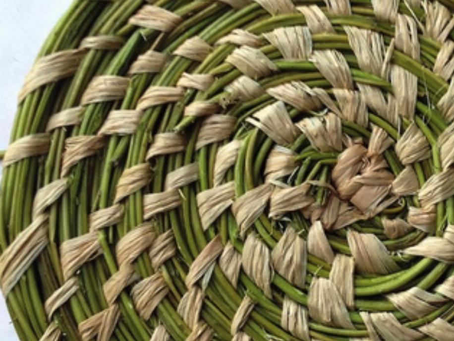 Artisanat végétal : Initiation à la vannerie spiralée et cousue