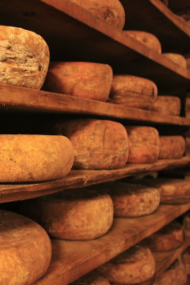 Savoir Faire et Découverte - Créer son atelier Fromagerie : Lancez votre gamme de produits laitiers Bio