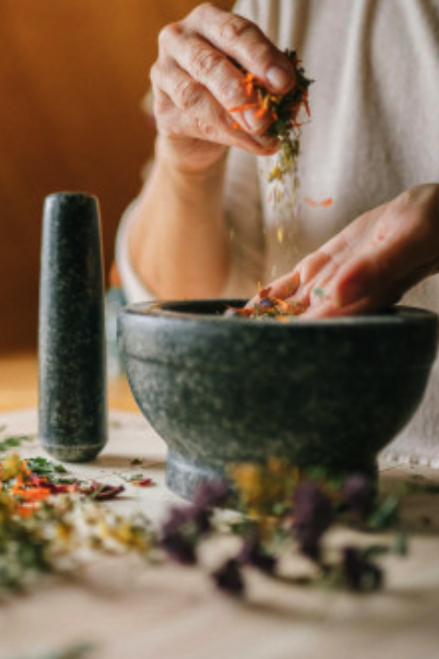 Savoir Faire et Découverte - Herboriste Moderne : Créez votre Activité de Producteur en Plantes Aromatiques et Médicinales