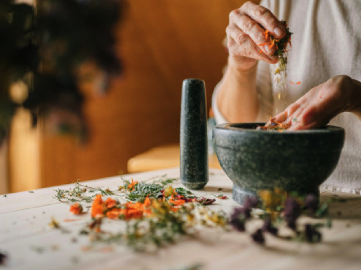 Herboriste Moderne : Créez votre Activité de Producteur en Plantes Aromatiques et Médicinales