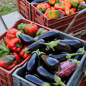 Transformateur artisanal de fruits et légumes - Confiturier