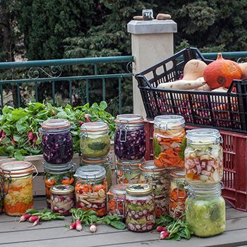 Transformateur en lactofermentation