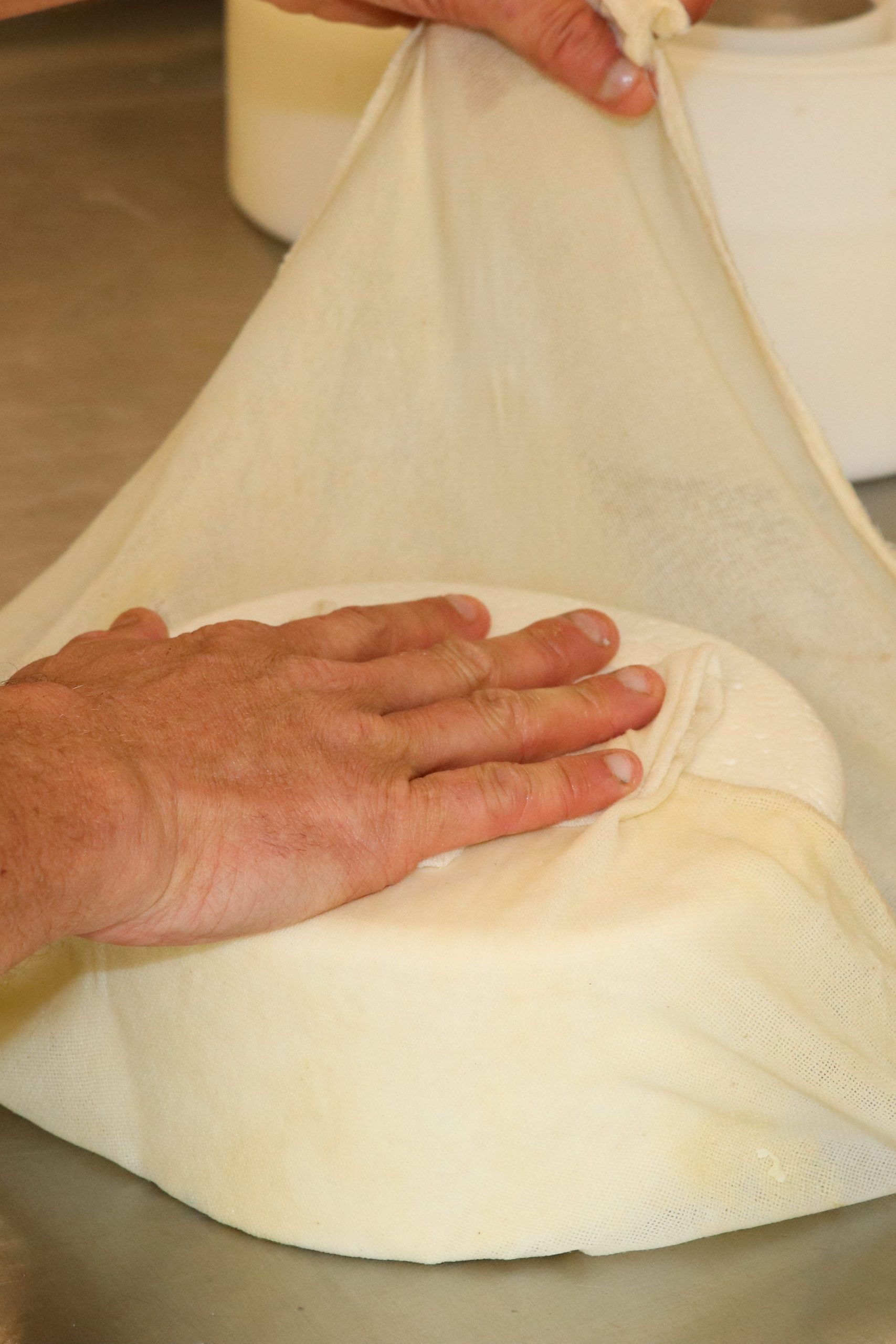 Savoir Faire et Découverte - Atelier découverte : Fromages et Yaourts de Chèvre Bio en Famille à la Ferme