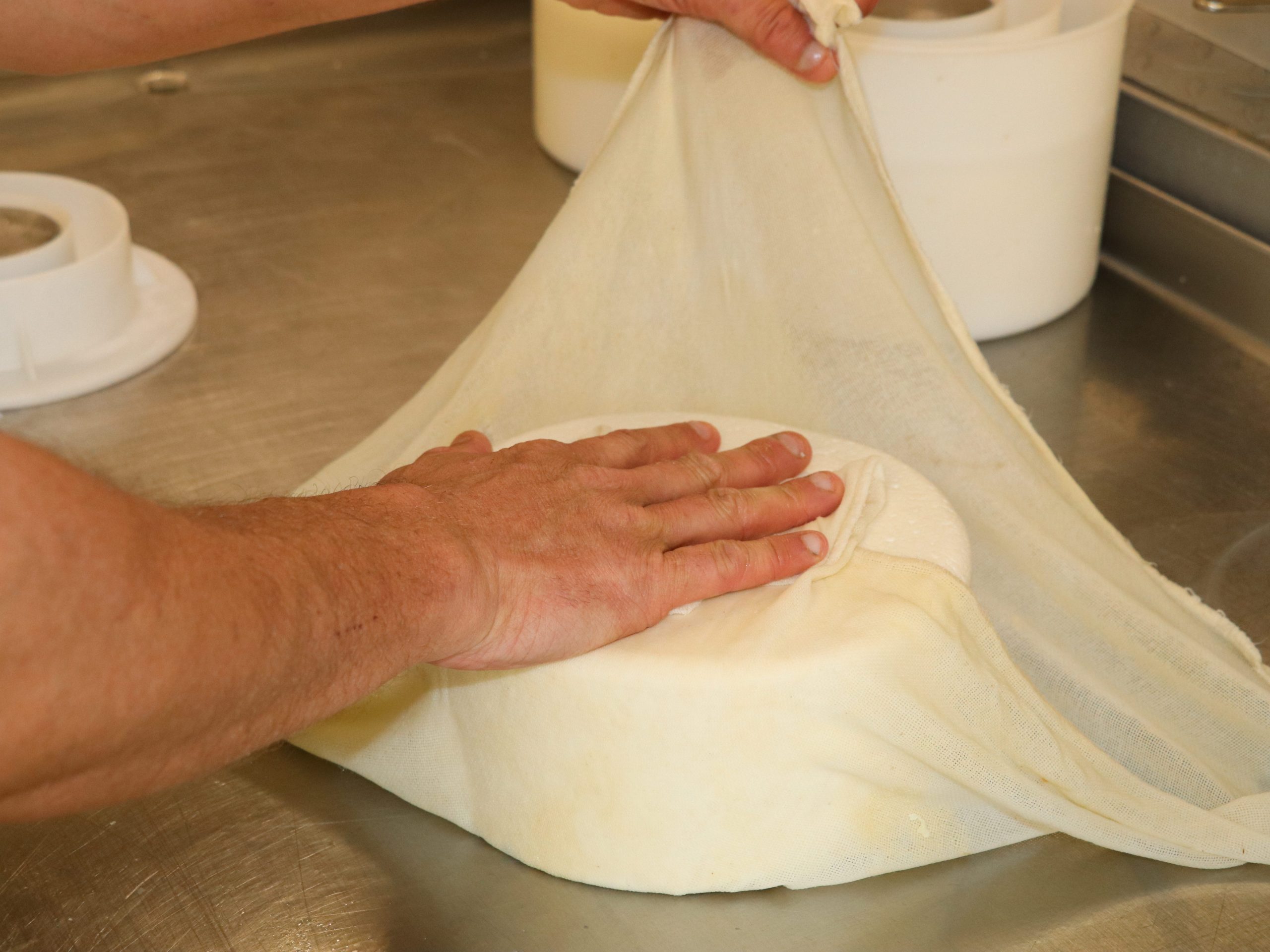 Atelier découverte : Fromages et Yaourts de Chèvre Bio en Famille à la Ferme