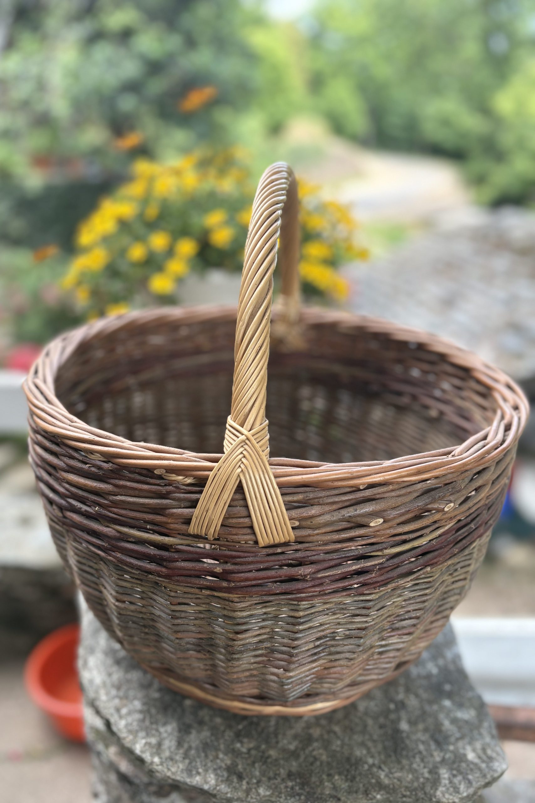 Savoir Faire et Découverte - Devenir Artisan Vannier : Maîtrisez la vannerie en châtaignier et lancez votre activité