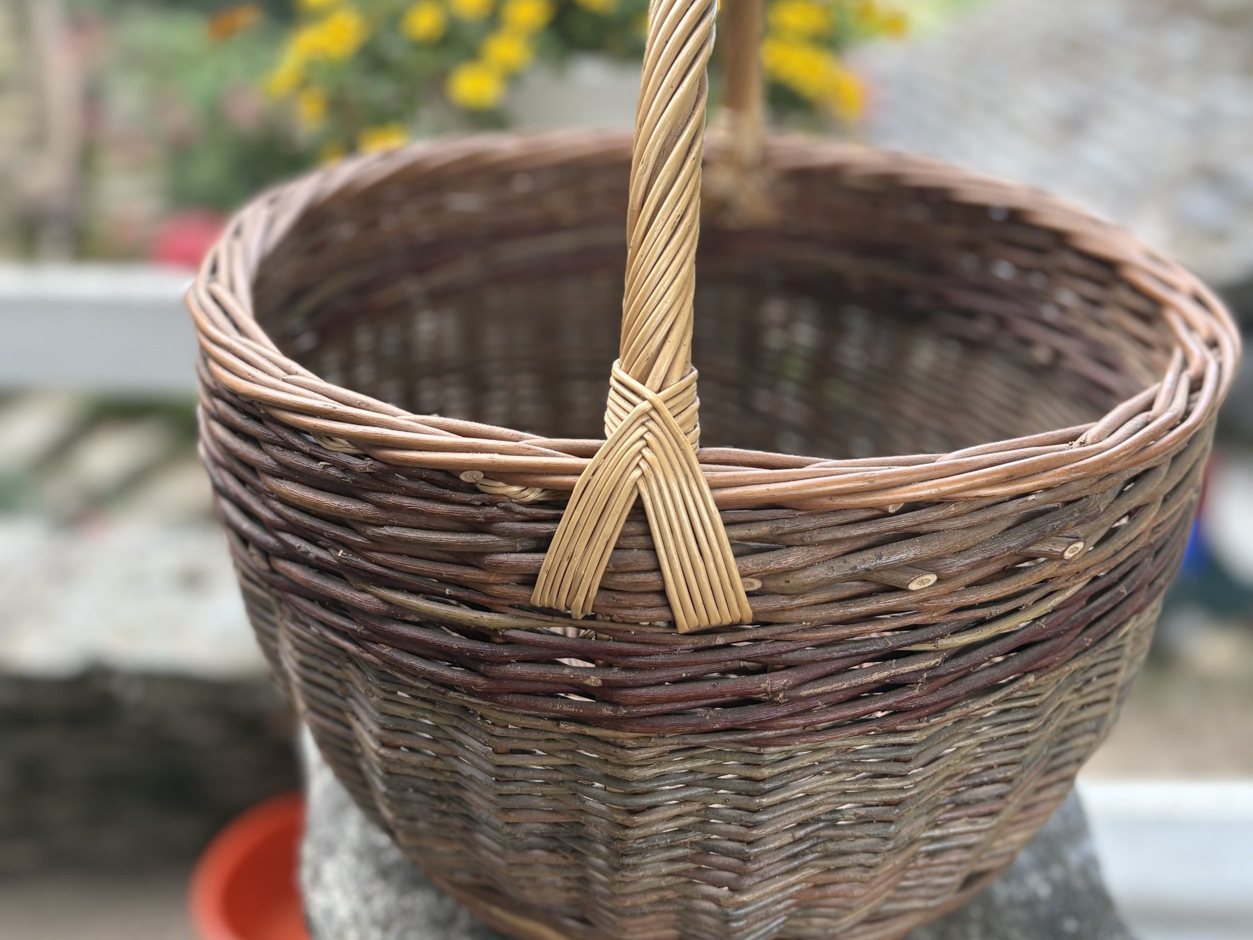 Devenir Artisan Vannier : Maîtrisez la vannerie en châtaignier et lancez votre activité