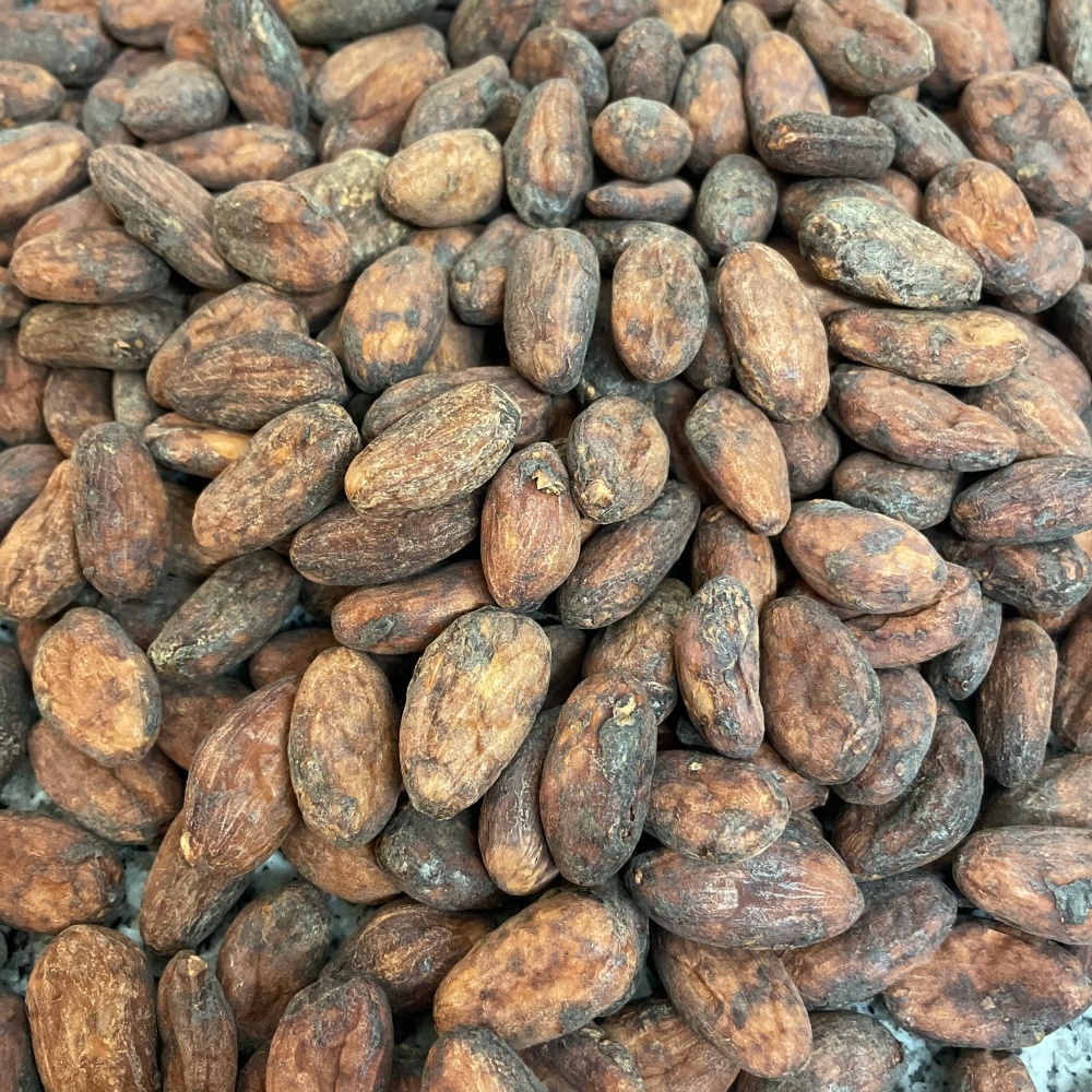 Elle a créé une marque de chocolat bean to bar sur son temps libre
