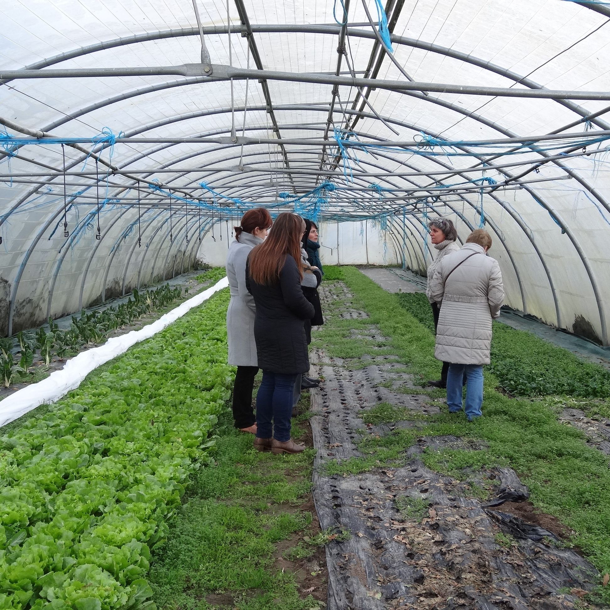 Maraîcher bio, micro ferme en permaculture, en agro-biologie