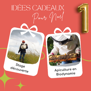 10 Idées Cadeaux Inoubliables - Offrez une Expérience Écologique et Locale
