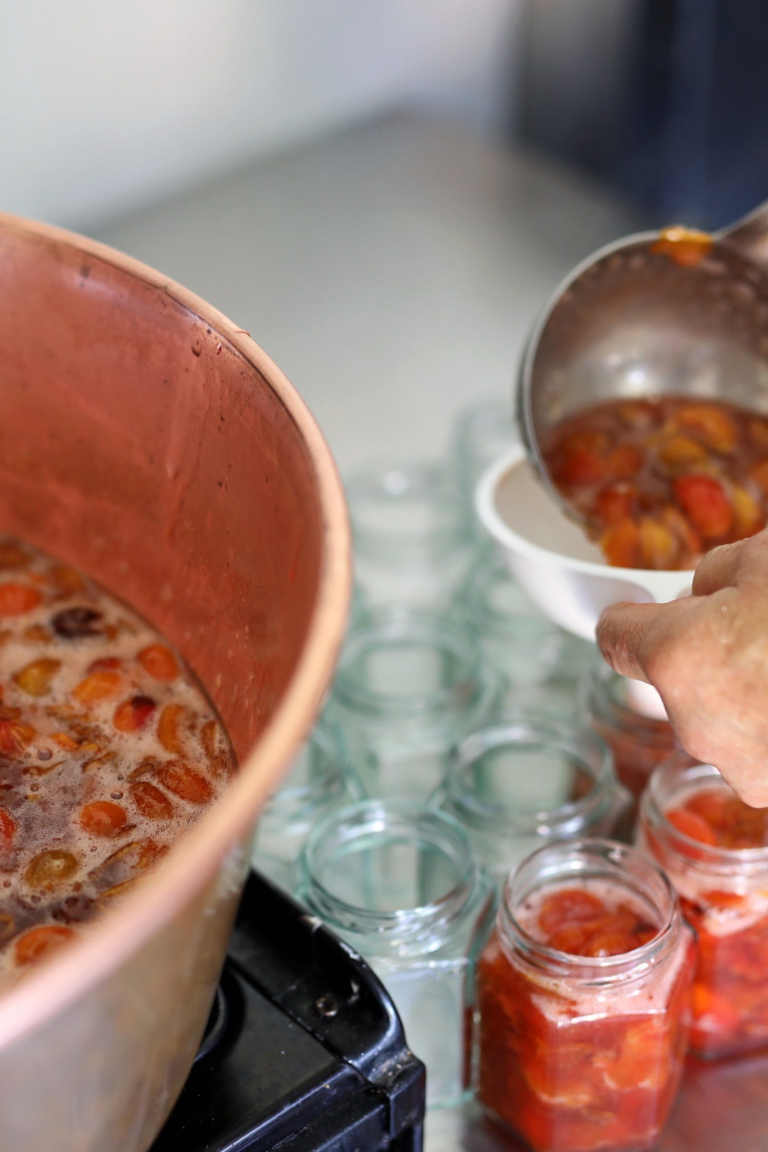 Savoir Faire et Découverte - Créer son atelier de Confiturier : Valorisez vos fruits en confitures et gelées bio et locales