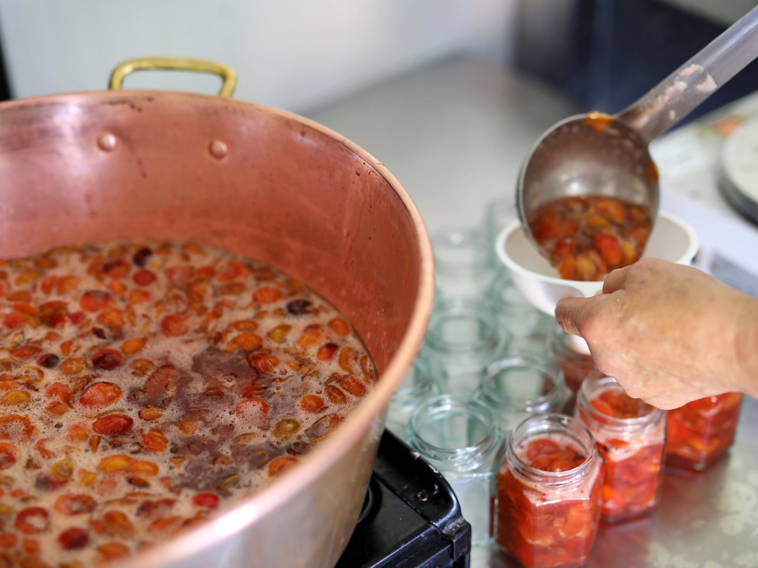 Créer son atelier de Confiturier : Valorisez vos fruits en confitures et gelées bio et locales