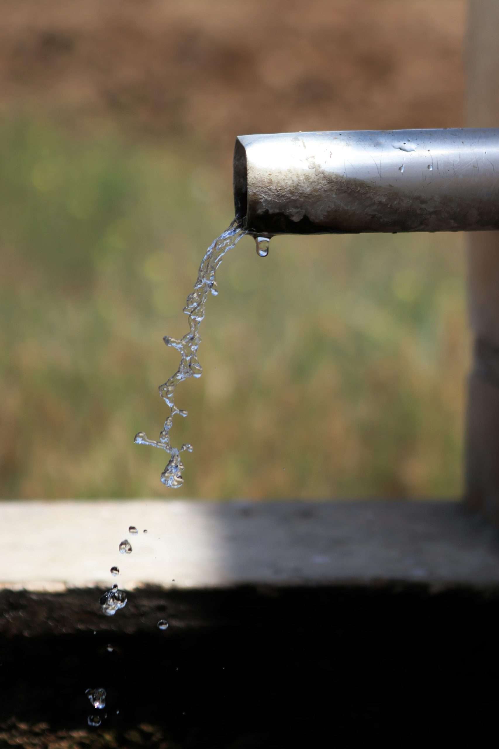 Savoir Faire et Découverte - Géobiologie : Recherche d’eau et environnement électromagnétique