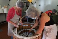 Personnes qui disposent des verres dans une grand panier
