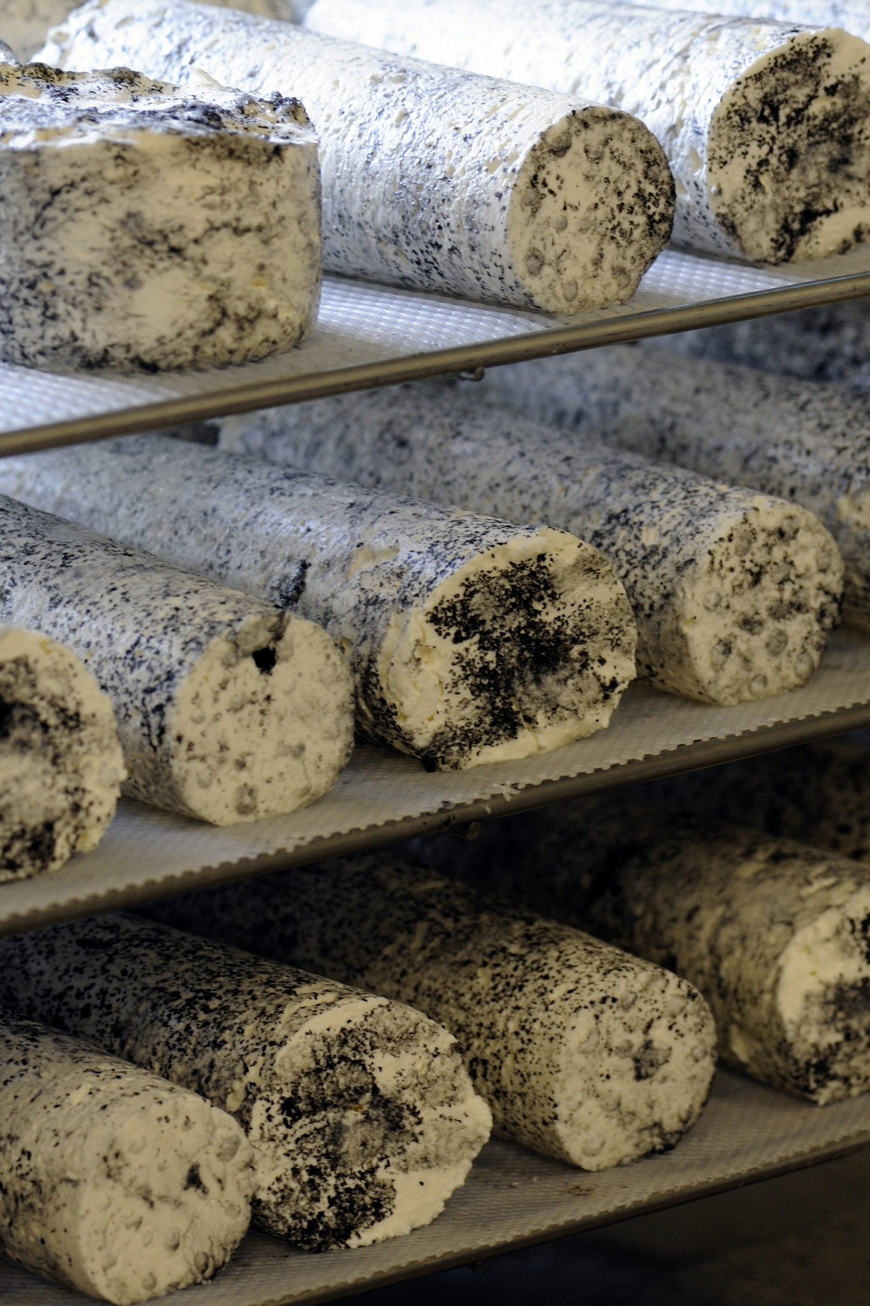 Savoir Faire et Découverte - Initiation à l’élevage caprin et à la transformation fromagère bio