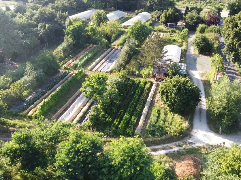 Créer son design permacole : Penser son potager naturel de A à Z