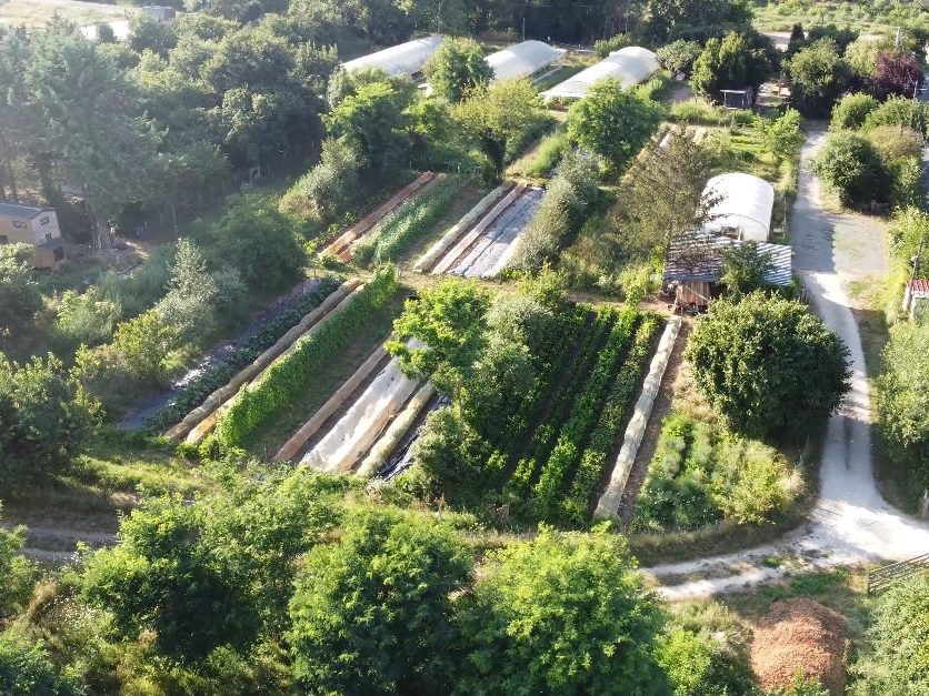 Maraîchage écologique : Tester le métier, cultiver autrement !