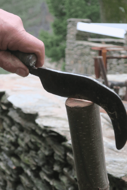 Savoir Faire et Découverte - Formation vannerie en châtaignier : De la récolte à la création