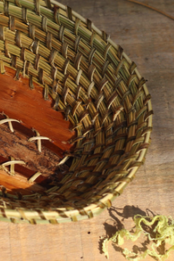 Savoir Faire et Découverte - Artisanat végétal : Initiation à la vannerie spiralée et cousue