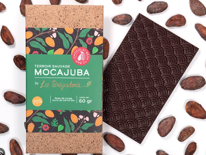 De la fève à la tablette : Bean to Bar & création de marque