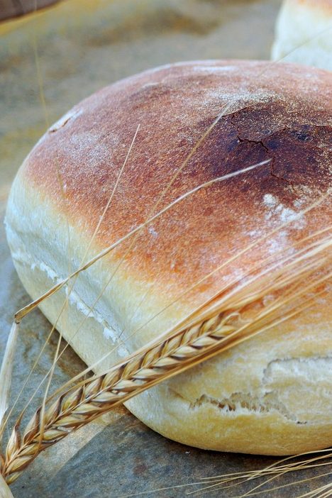Savoir Faire et Découverte - Vivre le métier de Paysan-boulanger : apprendre à cultiver, moudre et panifier
