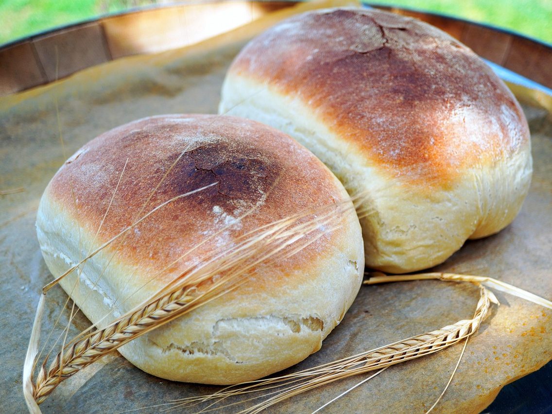 Vivre le métier de Paysan-boulanger : apprendre à cultiver, moudre et panifier